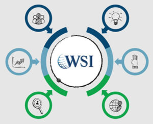 WSI Brasil lança livro que ensina as mais novas estratégias de marketing digital presentes no mercado