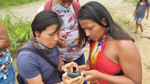 manutenção.net-Todos os Olhos na Amazônia investe em ferramentas de aprendizagem como forma de proteção da floresta