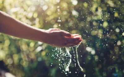 Gestão eficaz dos recursos hídricos das indústrias de celulose e papel: indústria recuou 75% no uso de água