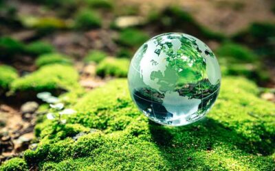 O Dia da Terra merece mais empresas de impacto