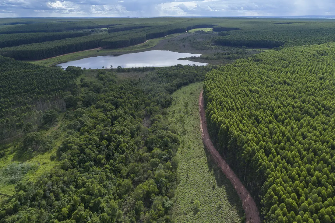 Conselho da Arauco aprova construção do Projeto Sucuriú Conselho da Arauco aprova construção do Projeto Sucuriú