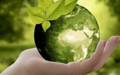 Brasil aprova Plano Nacional de Economia Circular e inaugura nova era para o desenvolvimento sustentável
