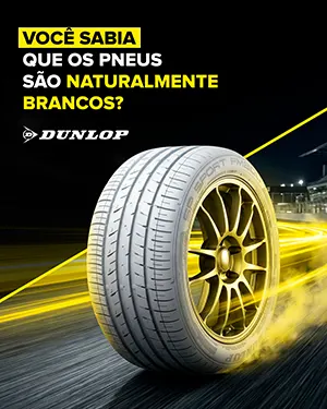 Infografico-Borracha-Dunlop-1